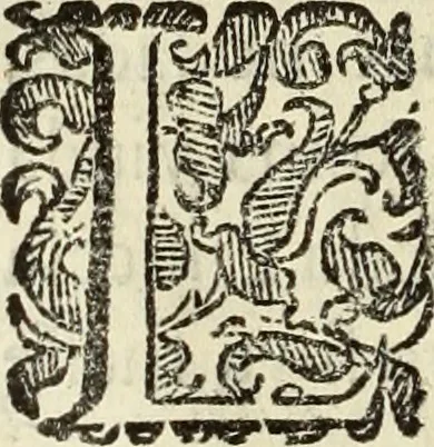 An illustration from Vida de la serenissima Infanta Doña Maria, hija delRey D. Manoel, 1675, leaf 29