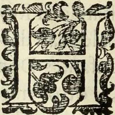 An illustration from Vida de la serenissima Infanta Doña Maria, hija delRey D. Manoel, 1675, leaf 35