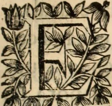 An illustration from Vida de la serenissima Infanta Doña Maria, hija delRey D. Manoel, 1675, leaf 368