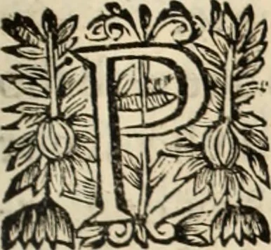 An illustration from Vida de la serenissima Infanta Doña Maria, hija delRey D. Manoel, 1675, leaf 382