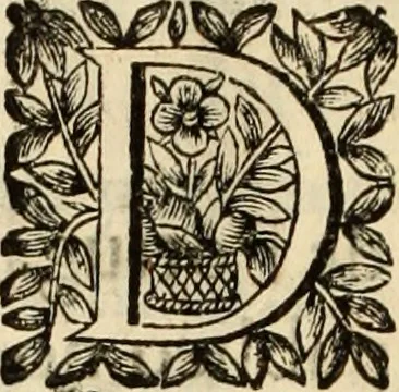An illustration from Vida de la serenissima Infanta Doña Maria, hija delRey D. Manoel, 1675, leaf 397
