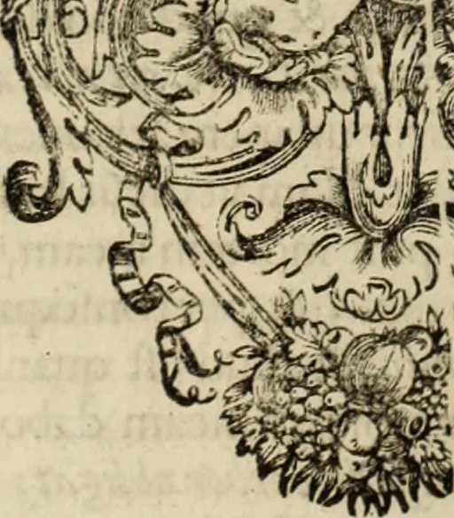 An illustration from Vida de la serenissima Infanta Doña Maria, hija delRey D. Manoel, 1675, leaf 406
