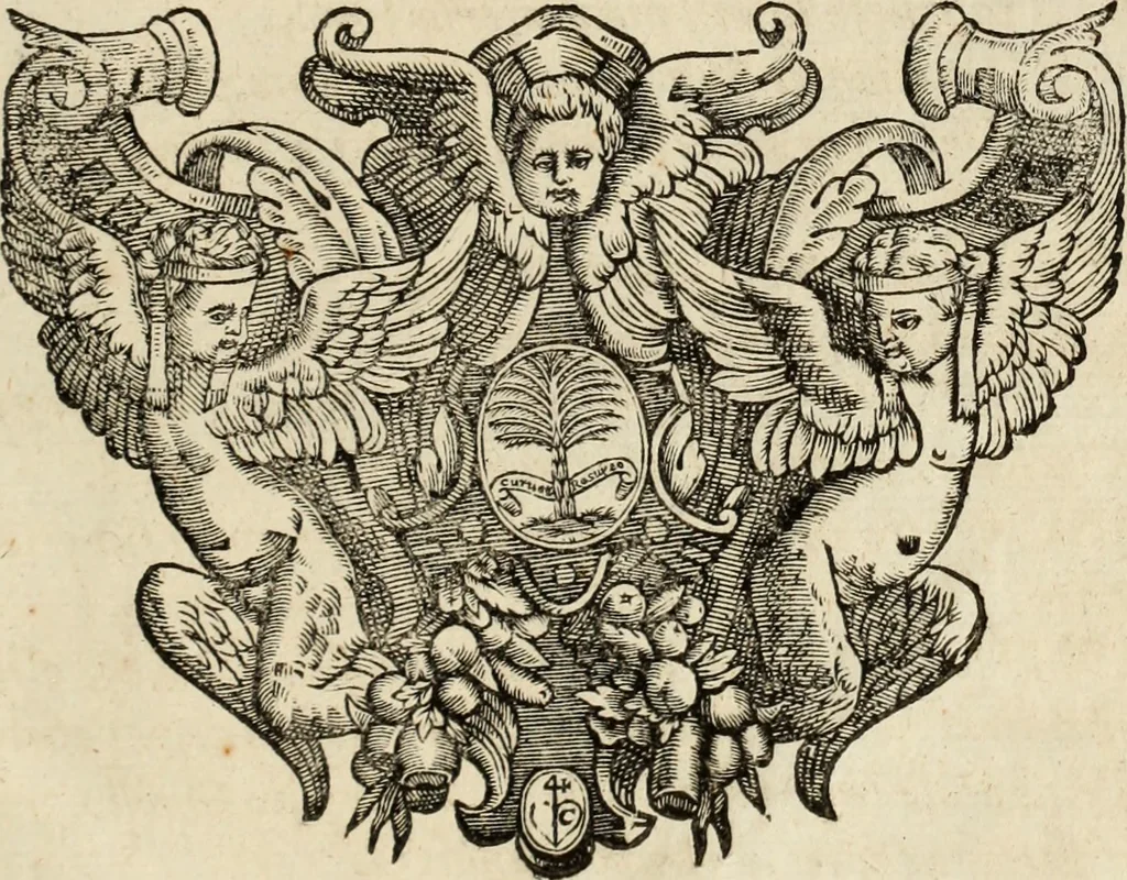 An illustration from Vida de la serenissima Infanta Doña Maria, hija delRey D. Manoel, 1675, leaf 422