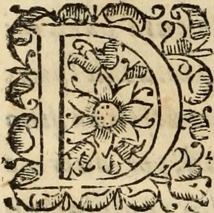 An illustration from Vida de la serenissima Infanta Doña Maria, hija delRey D. Manoel, 1675, leaf 65