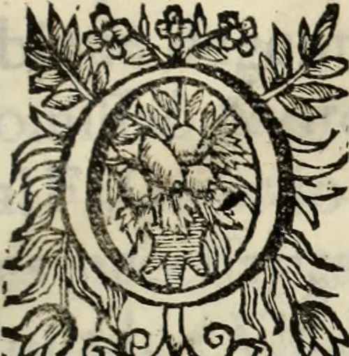 An illustration from Vida de la serenissima Infanta Doña Maria, hija delRey D. Manoel, 1675, leaf 8