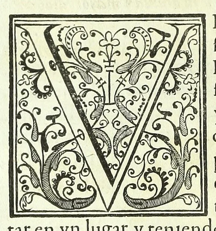 An illustration from Vida del .P. Ignacio de Loyola, fundador de la religion de la Compañia de Iesus: y de los padres maestro Diego Laynez, y Francisco de Borja ... En las quales se contiene su fundacion, progresso, y aumento, hasta el año de 1572. Escritas por el padre Pedro de Ribadeneyra, 1593, leaf 234