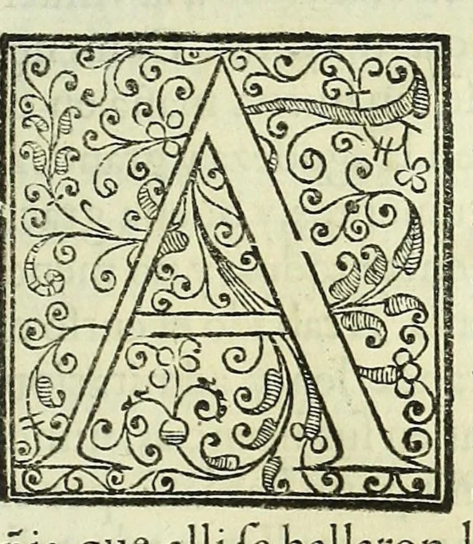 An illustration from Vida del .P. Ignacio de Loyola, fundador de la religion de la Compañia de Iesus: y de los padres maestro Diego Laynez, y Francisco de Borja ... En las quales se contiene su fundacion, progresso, y aumento, hasta el año de 1572. Escritas por el padre Pedro de Ribadeneyra, 1593, leaf 373