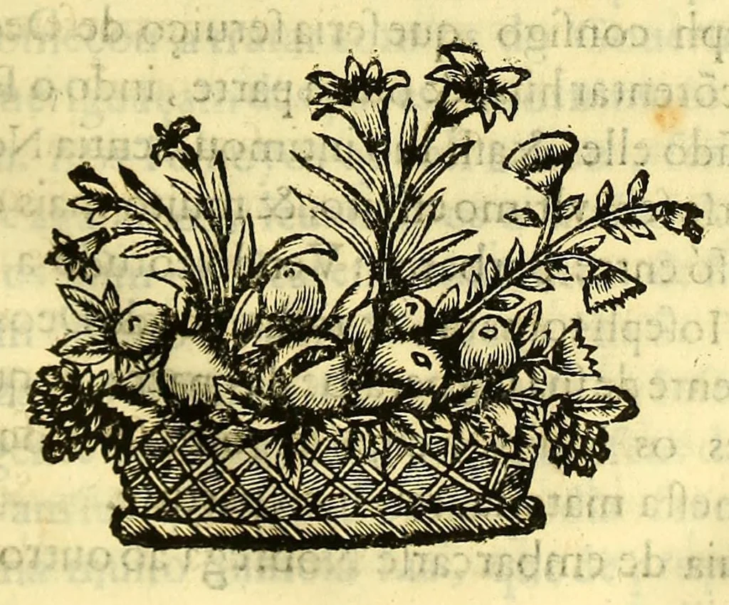 An illustration from Vida do venerauel padre Ioseph de Anchieta da Companhia de Iesu, taumaturgo do Nouo Mundo, na prouincia do Brasil., 1672, leaf 119