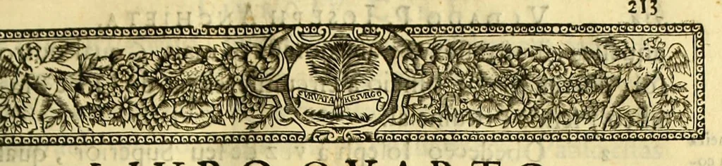 An illustration from Vida do venerauel padre Ioseph de Anchieta da Companhia de Iesu, taumaturgo do Nouo Mundo, na prouincia do Brasil., 1672, leaf 249