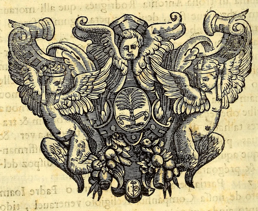 An illustration from Vida do venerauel padre Ioseph de Anchieta da Companhia de Iesu, taumaturgo do Nouo Mundo, na prouincia do Brasil., 1672, leaf 326