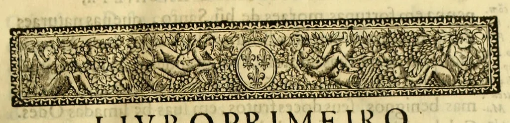 An illustration from Vida do venerauel padre Ioseph de Anchieta da Companhia de Iesu, taumaturgo do Nouo Mundo, na prouincia do Brasil., 1672, leaf 37