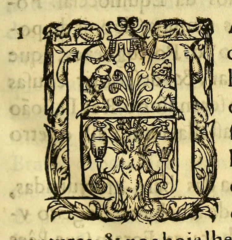 An illustration from Vida do venerauel padre Ioseph de Anchieta da Companhia de Iesu, taumaturgo do Nouo Mundo, na prouincia do Brasil., 1672, leaf 37