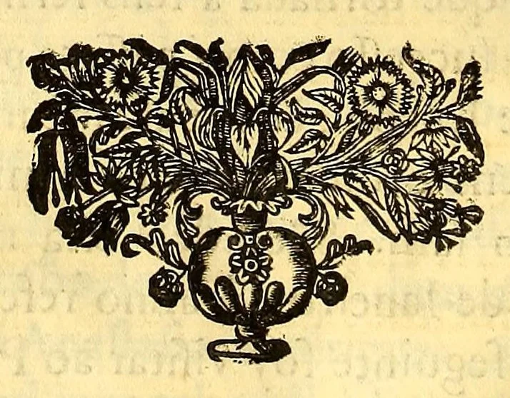 An illustration from Vida do venerauel padre Ioseph de Anchieta da Companhia de Iesu, taumaturgo do Nouo Mundo, na prouincia do Brasil., 1672, leaf 404