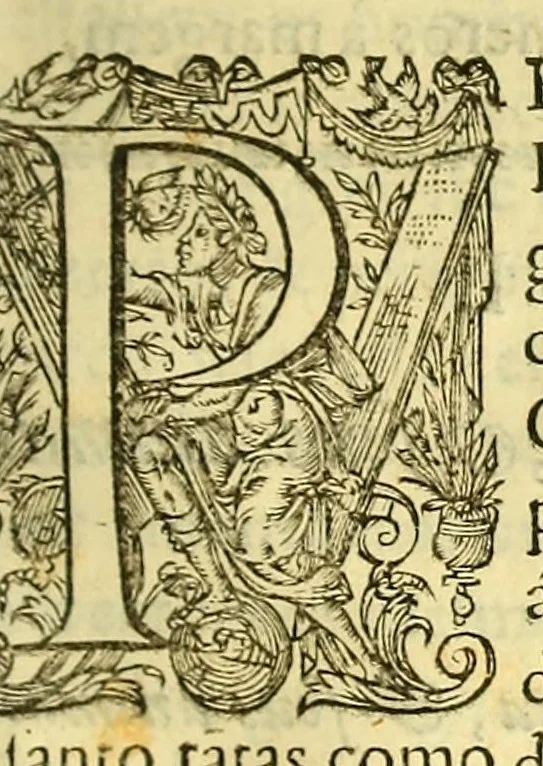 An illustration from Vida do venerauel padre Ioseph de Anchieta da Companhia de Iesu, taumaturgo do Nouo Mundo, na prouincia do Brasil., 1672, leaf 415
