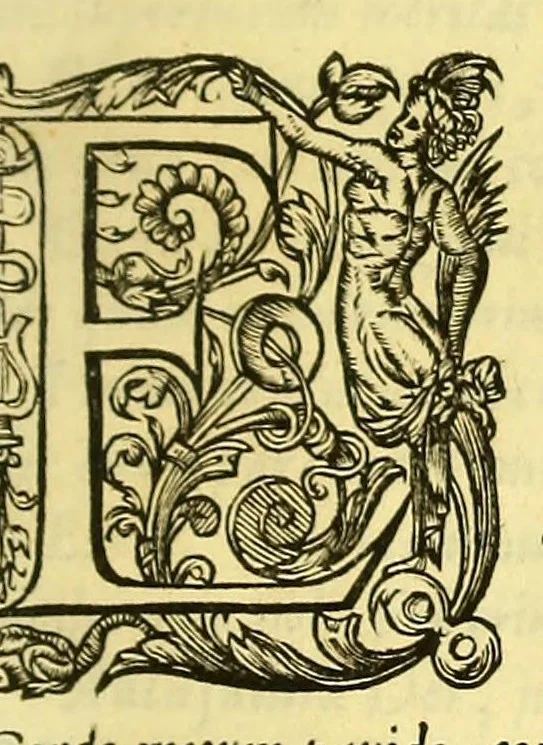 An illustration from Vida do venerauel padre Ioseph de Anchieta da Companhia de Iesu, taumaturgo do Nouo Mundo, na prouincia do Brasil., 1672, leaf 479