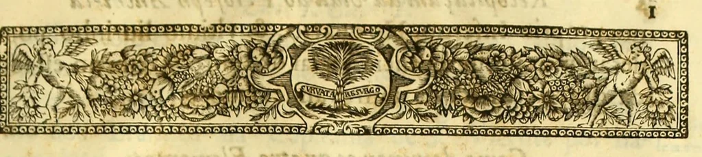 An illustration from Vida do venerauel padre Ioseph de Anchieta da Companhia de Iesu, taumaturgo do Nouo Mundo, na prouincia do Brasil., 1672, leaf 631