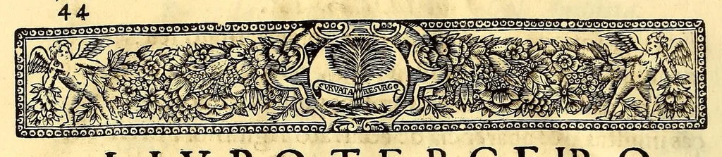 An illustration from Vida do venerauel padre Ioseph de Anchieta da Companhia de Iesu, taumaturgo do Nouo Mundo, na prouincia do Brasil., 1672, leaf 674