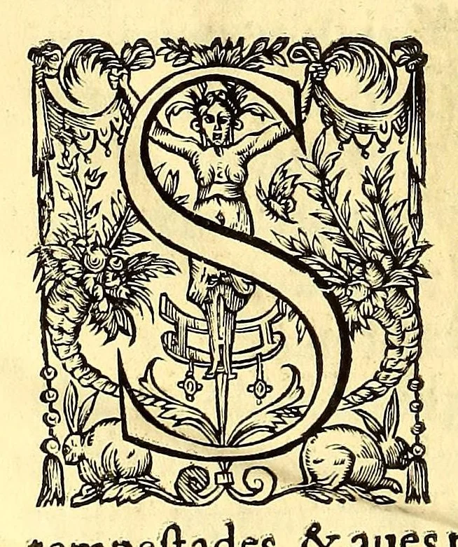 An illustration from Vida do venerauel padre Ioseph de Anchieta da Companhia de Iesu, taumaturgo do Nouo Mundo, na prouincia do Brasil., 1672, leaf 674