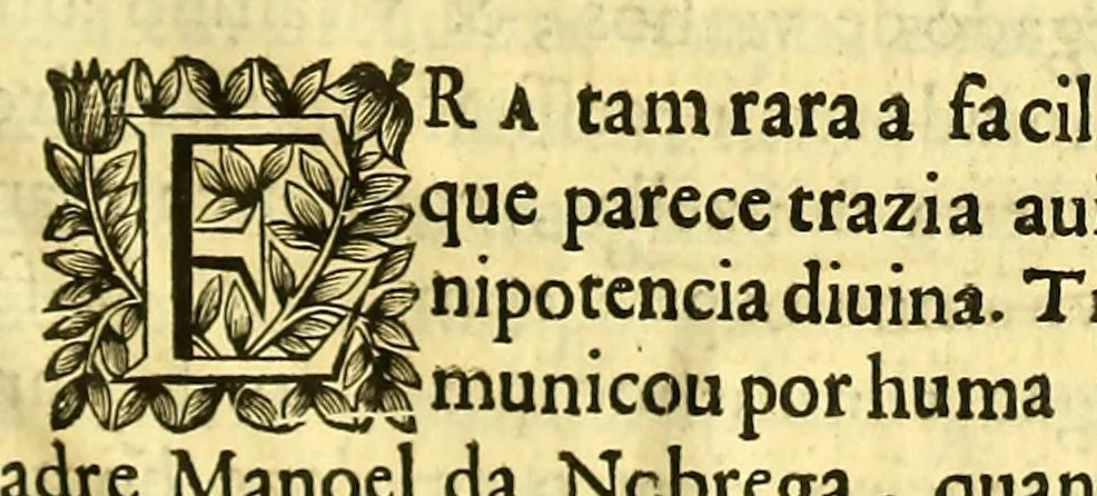 An illustration from Vida do venerauel padre Ioseph de Anchieta da Companhia de Iesu, taumaturgo do Nouo Mundo, na prouincia do Brasil., 1672, leaf 691