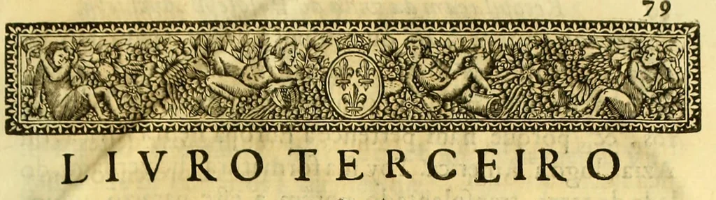 An illustration from Vida do venerauel padre Ioseph de Anchieta da Companhia de Iesu, taumaturgo do Nouo Mundo, na prouincia do Brasil., 1672, leaf 709