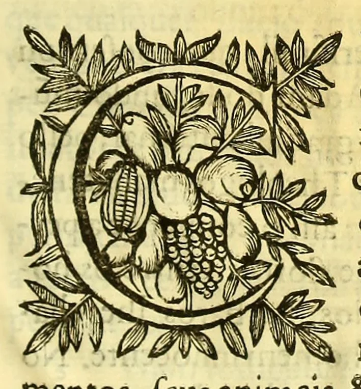 An illustration from Vida do venerauel padre Ioseph de Anchieta da Companhia de Iesu, taumaturgo do Nouo Mundo, na prouincia do Brasil., 1672, leaf 709