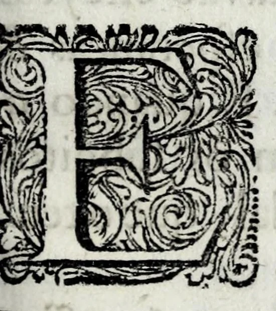 An illustration from Vida e acçoens d'el rey dom João I : offerecida à memoria posthuma do serenissimo principe dom Theodosio, 1677, leaf 285