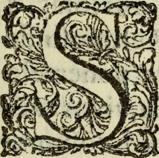 An illustration from Vida exemplar muerte santa, y regocijada de el angelical Hermano Miguel de Omaña, de la Compañia de Jesús, en la Provincia de Nueva-España, 1682, leaf 16