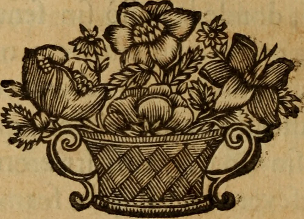 An illustration from Vida, virtudes, trabajos favores y milagros de la Ven. M. sor Maria de Jesus angelopolitana religiosa, 1683, leaf 251