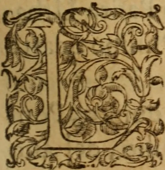 An illustration from Vida, virtudes, trabajos favores y milagros de la Ven. M. sor Maria de Jesus angelopolitana religiosa, 1683, leaf 252