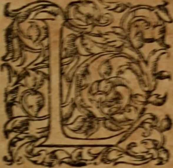 An illustration from Vida, virtudes, trabajos favores y milagros de la Ven. M. sor Maria de Jesus angelopolitana religiosa, 1683, leaf 8