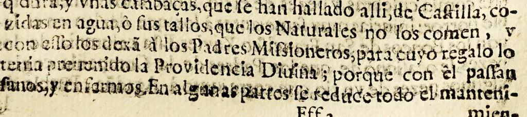 An illustration from Vida, y martyrio de el venerable padre Diego Luis de Sanuitores, : de la Compañia de Iesus, primer apostol de las islas Marianas, y sucessos de estas islas, desde el año de mil seiscientos y sesenta y ocho, asta el de mil seiscientos y ochenta y vno., 1683, leaf 431