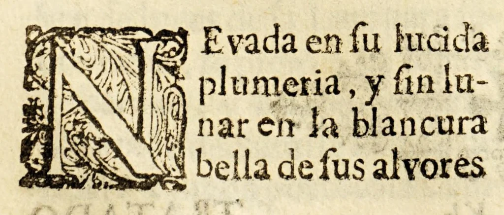 An illustration from Vida, y virtudes heroycas de la madre Maria de Jesus, religiosa professa en el Convento de la Limpia Concepcion de la Virgen Maria N. Señora de la Ciudad de los Angeles., 1676, leaf 328