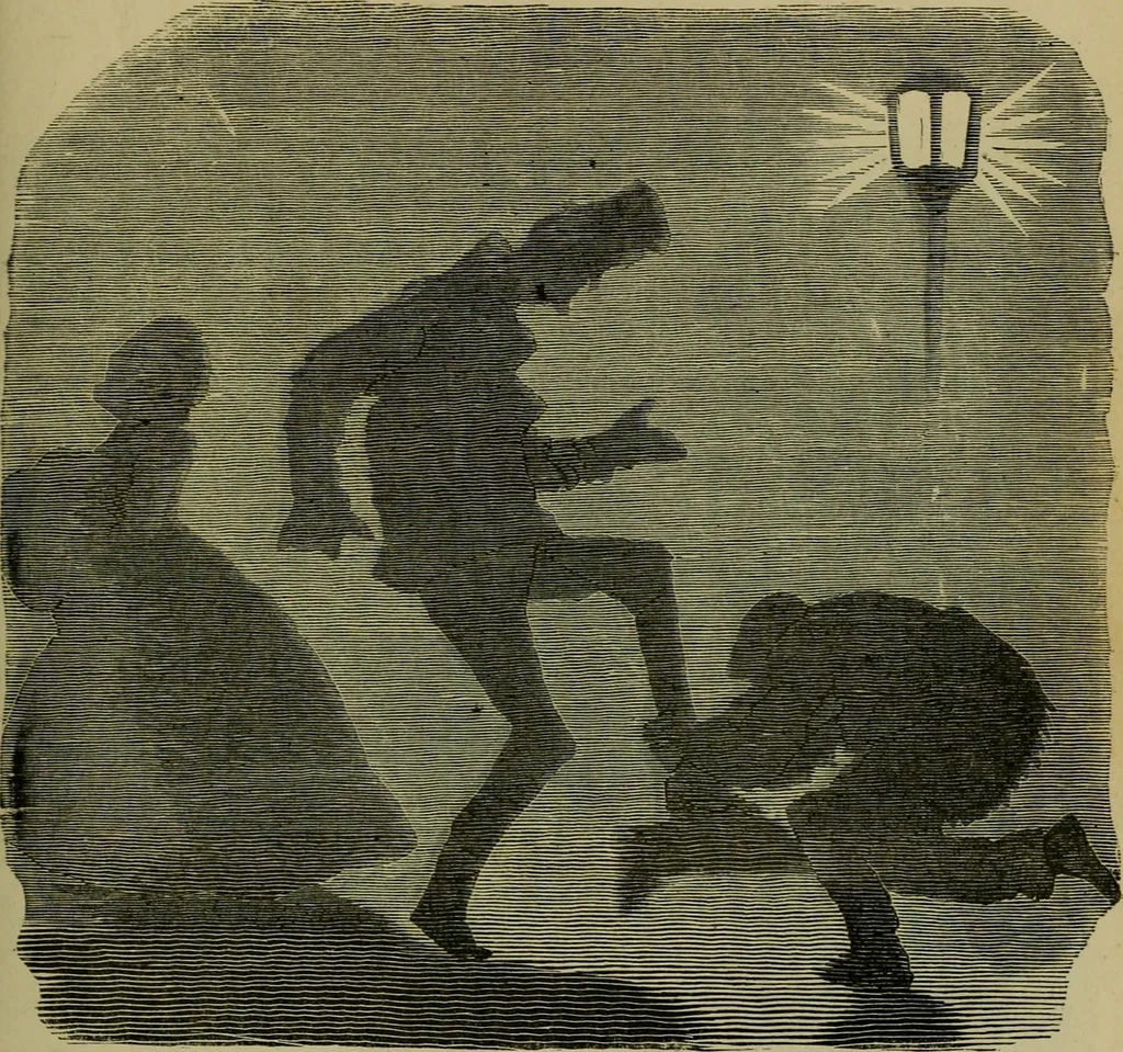 An illustration from Vie d'une parisienne, 1855, leaf 166