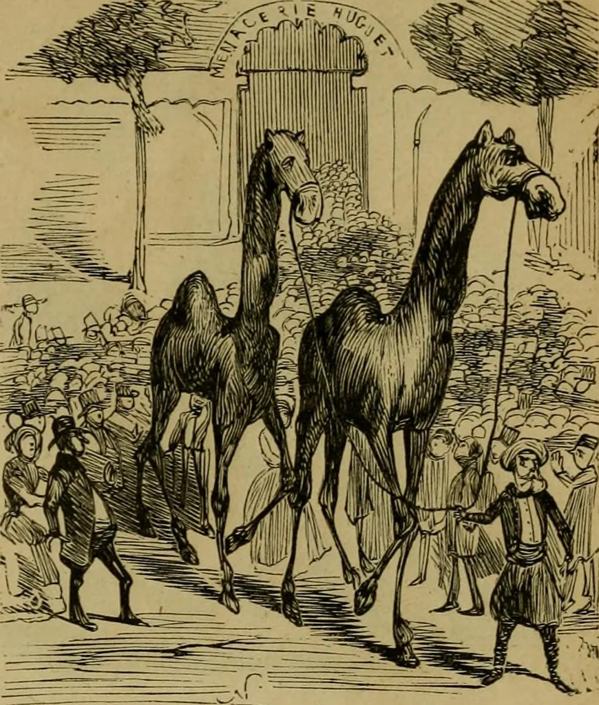 An illustration from Vie d'une parisienne, 1855, leaf 232
