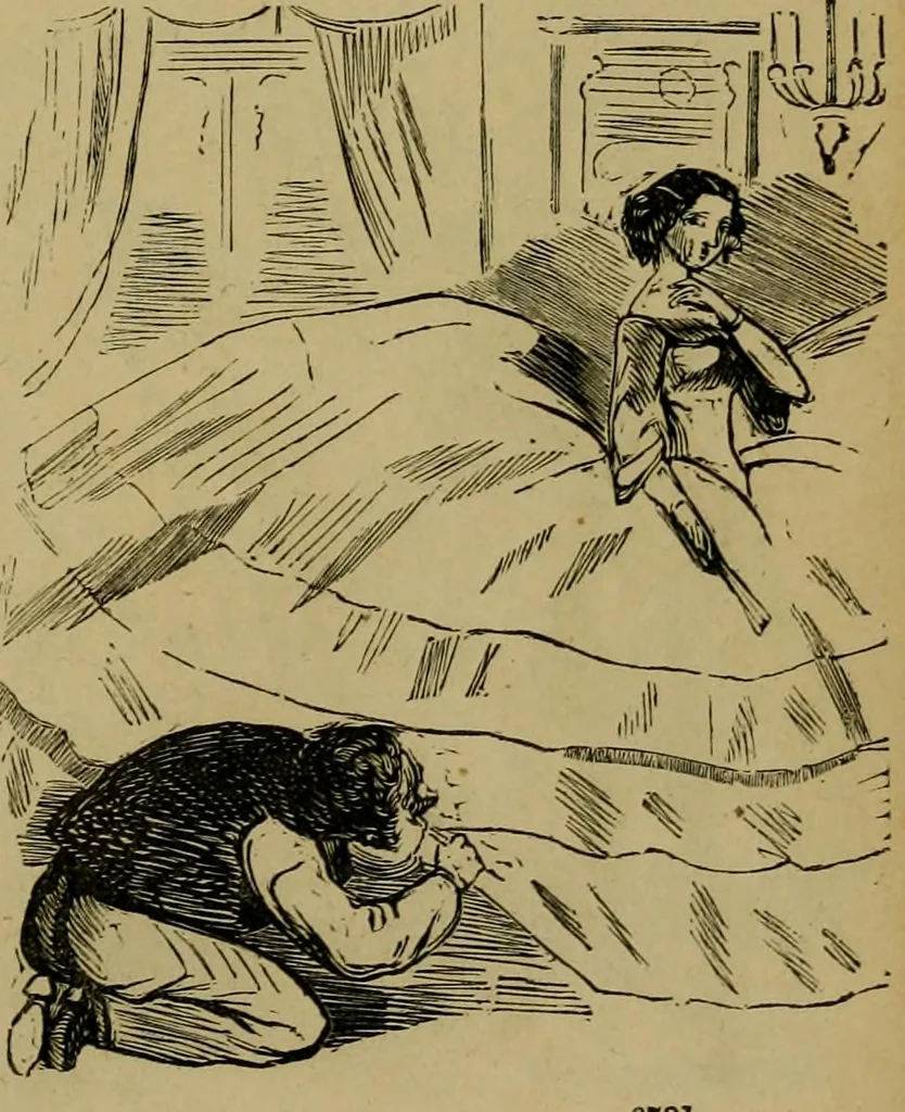 An illustration from Vie d'une parisienne, 1855, leaf 320