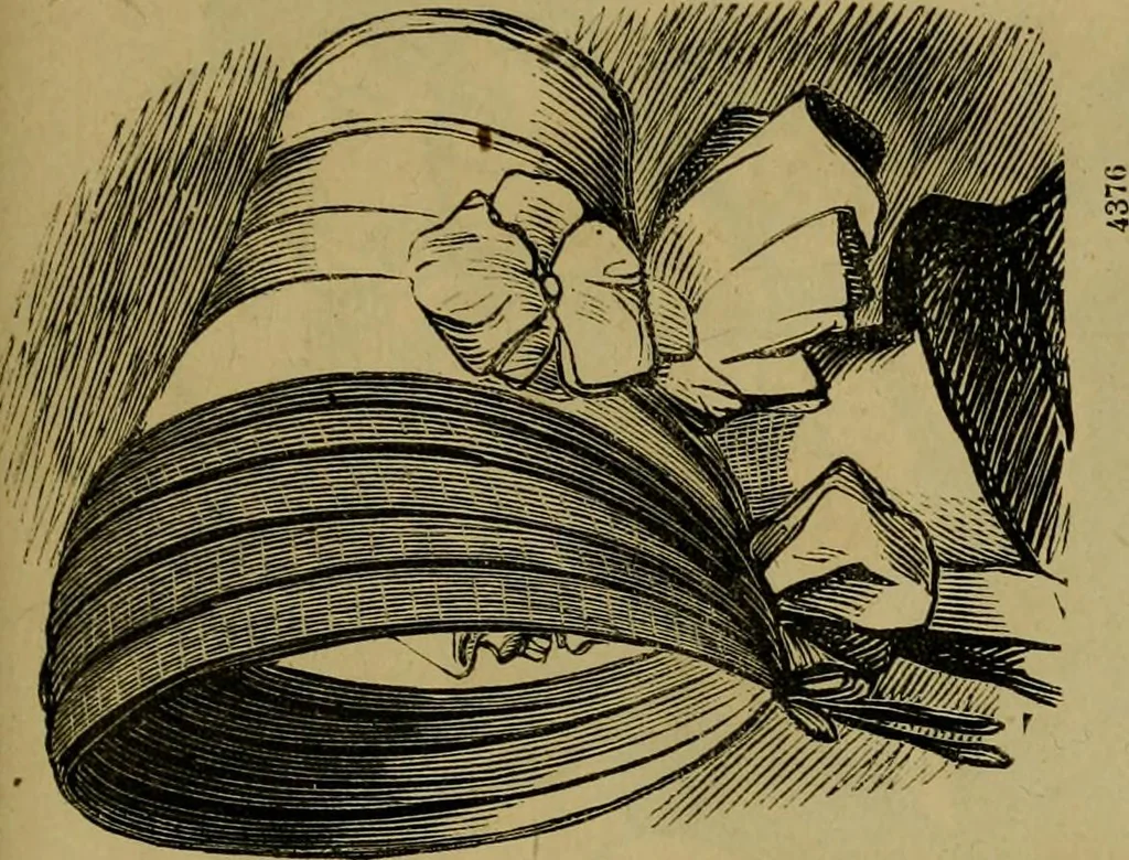 An illustration from Vie d'une parisienne, 1855, leaf 356