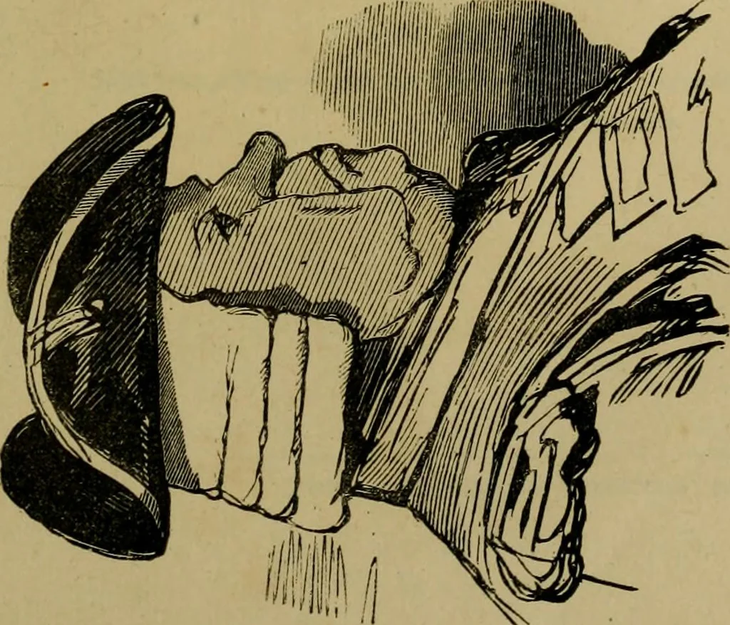 An illustration from Vie d'une parisienne, 1855, leaf 366