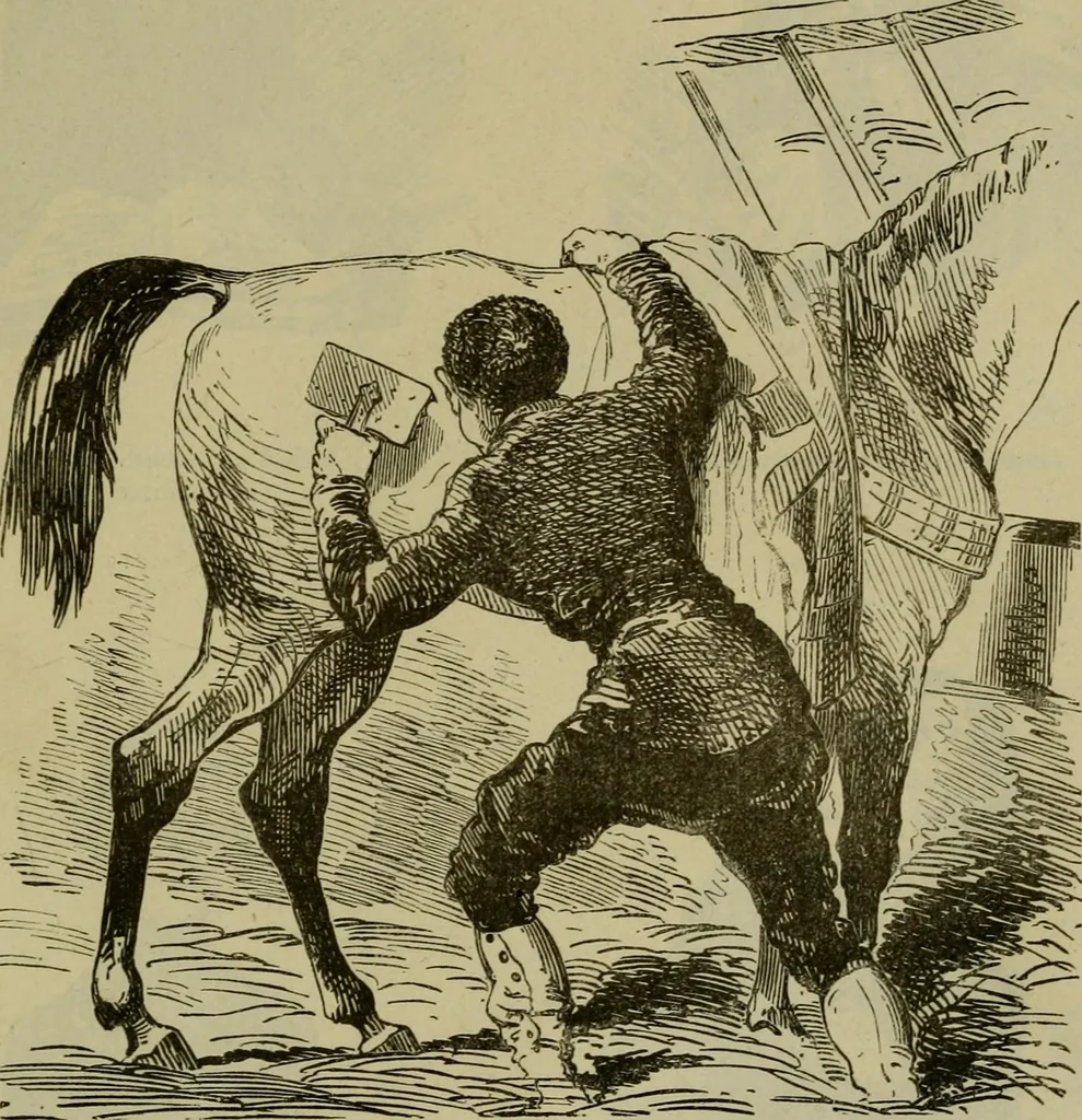An illustration from Vie d'une parisienne, 1855, leaf 396