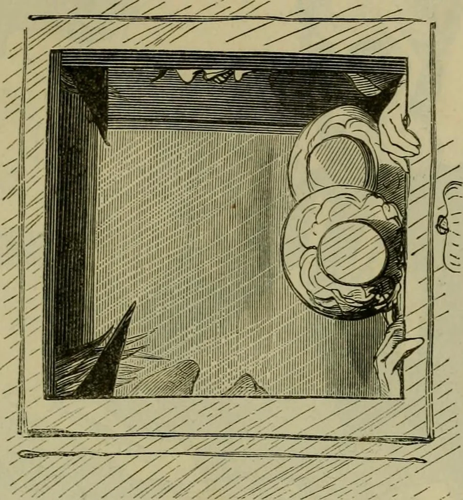 An illustration from Vie d'une parisienne, 1855, leaf 488