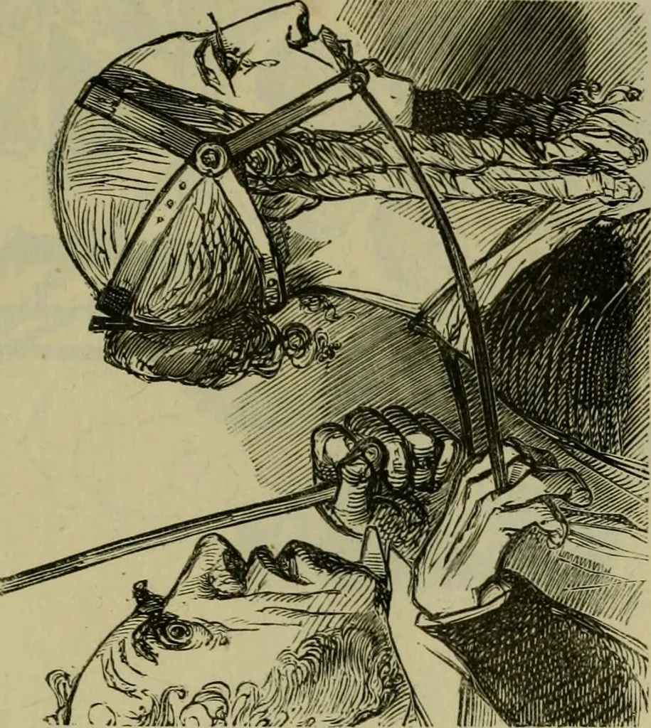 An illustration from Vie d'une parisienne, 1855, leaf 494