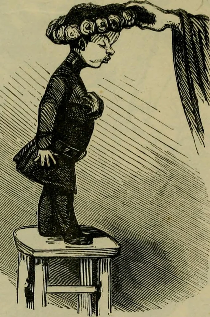 An illustration from Vie d'une parisienne, 1855, leaf 526