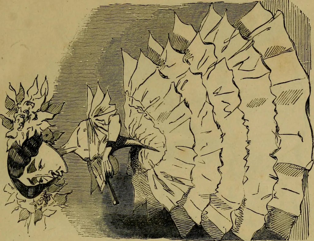 An illustration from Vie d'une parisienne, 1855, leaf 8