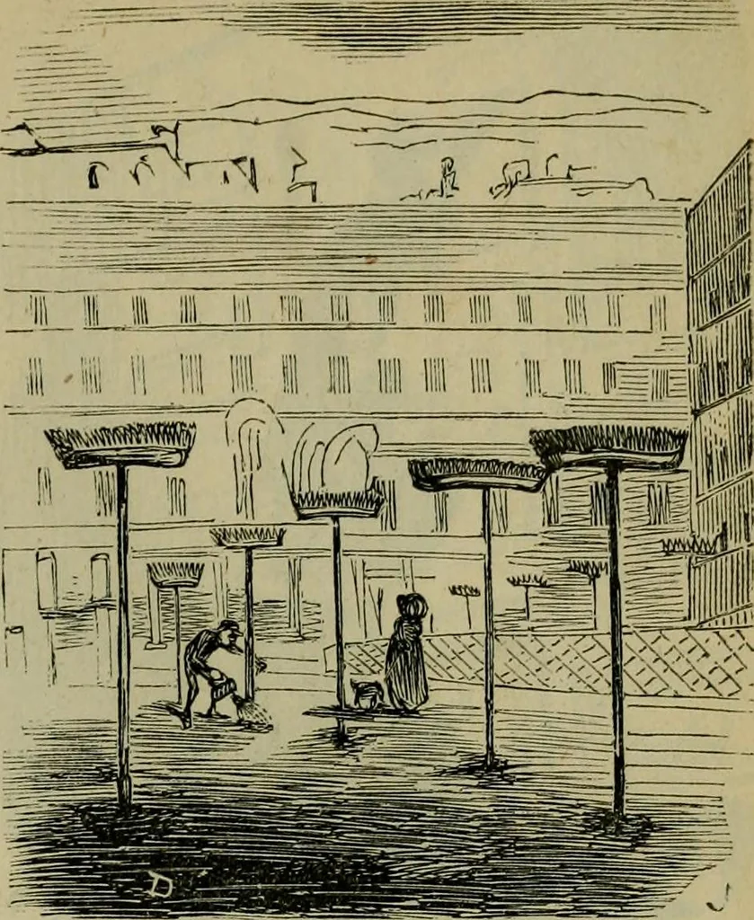 An illustration from Vie d'une parisienne, 1855, leaf 94