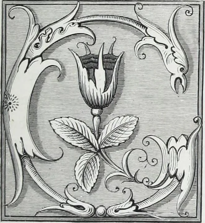 An illustration from Vie militaire et religieuse au moyen âge et à l'époque de la renaissance, 1873, leaf 444