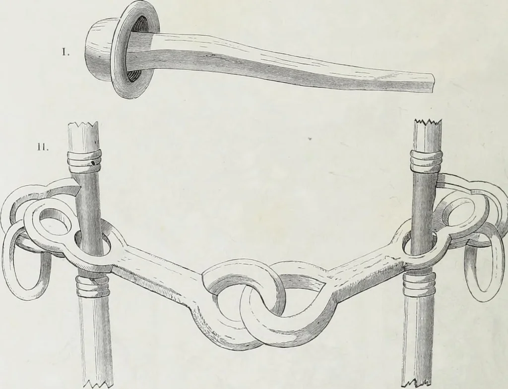 An illustration from Vie militaire et religieuse au moyen âge et à l'époque de la renaissance, 1873, leaf 461