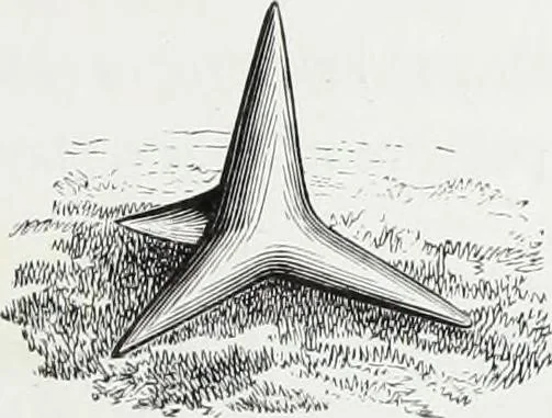 An illustration from Vie militaire et religieuse au moyen âge et à l'époque de la renaissance, 1873, leaf 94