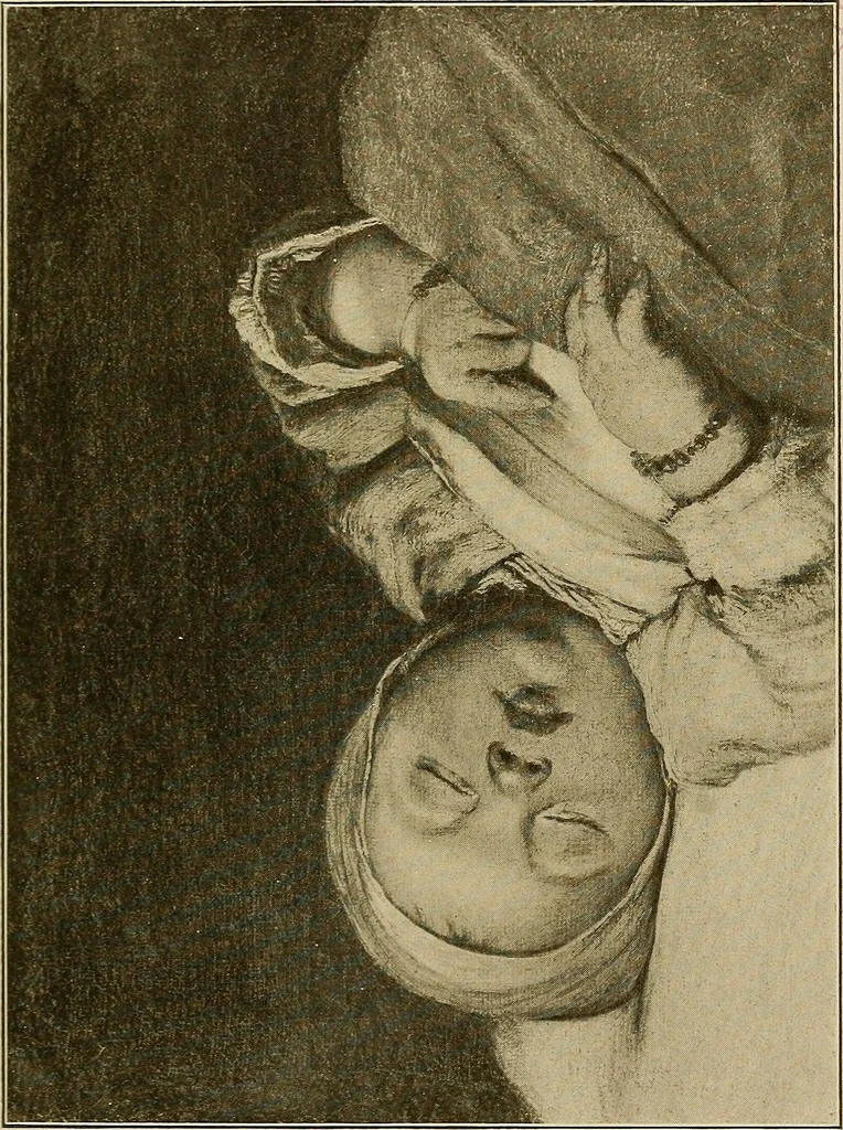 An illustration from The Vienna galleries : giving a brief history of the public and private galleries of Vienna ; with a critical description of the paintings therein contained, 1912, leaf 366