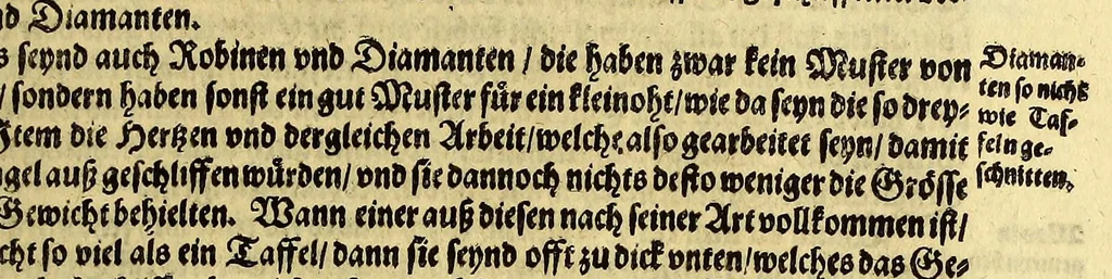 An illustration from Vierder Theil der Orie[n]talischen Indien, in welchen erstlich gehandelt wirt, von allerley Thiern, Früchten, Obs, vnd Bäumen, item von allerhand Würtz, Specereyen vnd Materialen, auch von Perlen vnd allerley Edelgesteinen, so in gemelten Indien gefunden werden, wo vnd wie sie wachsen, daselbst geschätzet, gekaufft, vnd genant werden: beschrieben durch Johan[n] Hugen von Lintschotten, vnd andere. : Auch mit schönen Annotationibus gezieret vnd erkläret durch Bernardum Paludanum Med. D. in Enckheusen. Zum andern, die letzte Reise der Holländer in die Ost-Indien, welche aussgefahren im Frühling dess 1598. Jahrs, vnd mit 4. Schiffen widerumb glücklich anheim gelanget, im Monat Julio dess 1599. Jahrs,, 1617, leaf 107