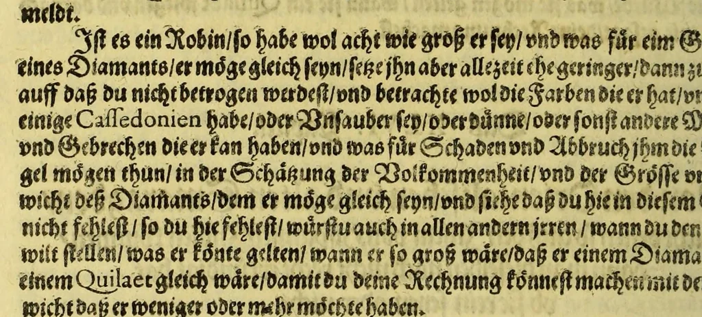 An illustration from Vierder Theil der Orie[n]talischen Indien, in welchen erstlich gehandelt wirt, von allerley Thiern, Früchten, Obs, vnd Bäumen, item von allerhand Würtz, Specereyen vnd Materialen, auch von Perlen vnd allerley Edelgesteinen, so in gemelten Indien gefunden werden, wo vnd wie sie wachsen, daselbst geschätzet, gekaufft, vnd genant werden: beschrieben durch Johan[n] Hugen von Lintschotten, vnd andere. : Auch mit schönen Annotationibus gezieret vnd erkläret durch Bernardum Paludanum Med. D. in Enckheusen. Zum andern, die letzte Reise der Holländer in die Ost-Indien, welche aussgefahren im Frühling dess 1598. Jahrs, vnd mit 4. Schiffen widerumb glücklich anheim gelanget, im Monat Julio dess 1599. Jahrs,, 1617, leaf 108