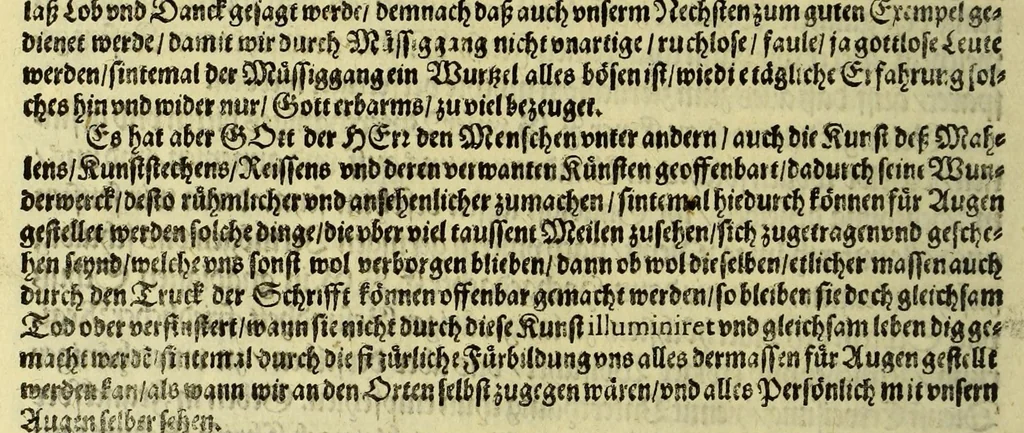 An illustration from Vierder Theil der Orie[n]talischen Indien, in welchen erstlich gehandelt wirt, von allerley Thiern, Früchten, Obs, vnd Bäumen, item von allerhand Würtz, Specereyen vnd Materialen, auch von Perlen vnd allerley Edelgesteinen, so in gemelten Indien gefunden werden, wo vnd wie sie wachsen, daselbst geschätzet, gekaufft, vnd genant werden: beschrieben durch Johan[n] Hugen von Lintschotten, vnd andere. : Auch mit schönen Annotationibus gezieret vnd erkläret durch Bernardum Paludanum Med. D. in Enckheusen. Zum andern, die letzte Reise der Holländer in die Ost-Indien, welche aussgefahren im Frühling dess 1598. Jahrs, vnd mit 4. Schiffen widerumb glücklich anheim gelanget, im Monat Julio dess 1599. Jahrs,, 1617, leaf 12
